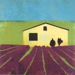 LAVENDER FIELD